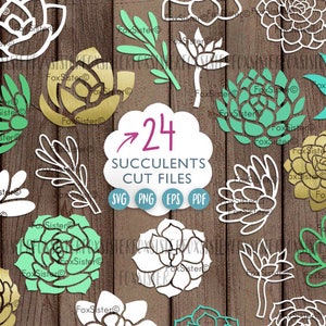 24 Paquetes de cactus svg, suculentas svg, plantas svg plantillas de corte de papel / naturaleza svg / calcomanía de cactus / imágenes prediseñadas / planta / archivo de corte / para Cricut