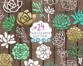 24 Kaktus svg Bundle, Sukkulenten svg, Pflanzen svg Papierschnitt Vorlagen | Natur geschnitten Datei | Kaktus Aufkleber | Clipart | Pflanze | Schnittdatei | für Cricut