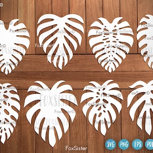 Pacote Monstera leaf svg para Cricut e Silhouette, Leaf Svg, folha de palmeira svg, folhas da selva svg, Nature svg, Plants Svg, folhas tropicais svg
