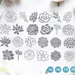 May include: A set of 20 gray succulent plant illustrations. The illustrations are in a variety of shapes and sizes, and they are all outlined in black. The illustrations are perfect for use in crafting projects, scrapbooking, or digital design.