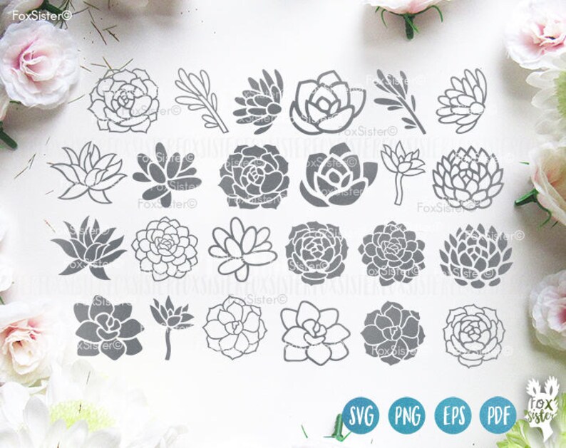 May include: A set of 20 gray succulent plant illustrations. The illustrations are in a variety of shapes and sizes, and they are all outlined in black. The illustrations are perfect for use in crafting projects, scrapbooking, or digital design.
