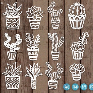 Cacto Svg, Suculenta Svg, Cacto Clipart, Suculenta Clip art, Cactos Svg, Plantas Svg, Cacto Vetor, Cacto Arquivo de Corte, Planta Svg, Pacote Svg