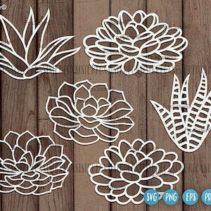 Suculento svg para Cricut y Silhouette, Cactus svg, suculentas svg, imágenes prediseñadas de cactus, Clip art suculento, Plantas Svg, Planta Svg, Paquete Svg