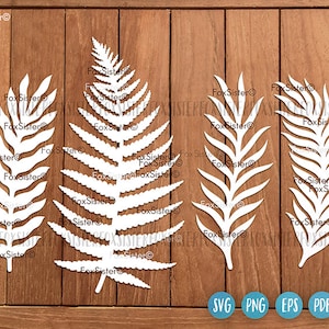 Lot de 6 feuilles Svg, fougère feuille fichier Svg 4 modèles Bundle, feuilles de coupe Svg, svg d'éléments Couronne, svg Nature, plantes Svg, Silhouette Cricut
