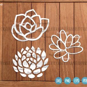 May include: Three white, cutout, decorative designs of succulents. The designs are in the shape of a flower with multiple layers of petals.
