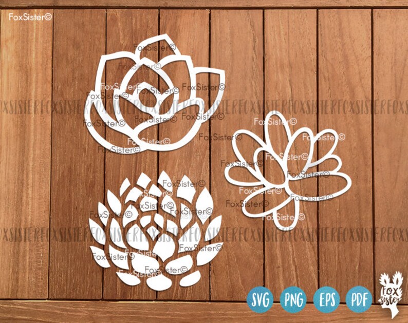 May include: Three white, cutout, decorative designs of succulents. The designs are in the shape of a flower with multiple layers of petals.