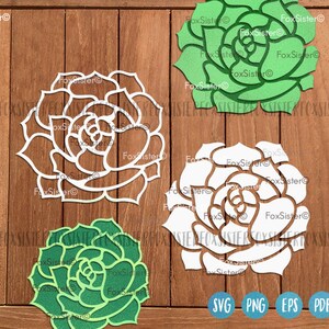 May include: Four digital cut files of succulent plants. The files are in white, green, and a combination of white and green. The files are labeled with the file types SVG, PNG, EPS, and PDF.