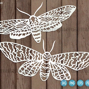 Moth svg for Cricut and Silhouette, Moth clip art, Butterfly Svg, FoxSister, Svg cut file, Insect svg, Insect vector, butterflies svg