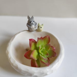Peut inclure: Un plat en céramique blanc texturé contient une succulente vibrante avec des feuilles vertes et rouges. Deux petites figurines, un personnage gris ressemblant à Totoro et une créature jaune, sont posées sur le bord du plat. Le plat est sur une surface blanche.