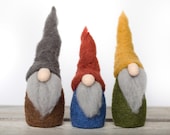 Gnomes Needle Felting Kit - beginner friendly - includes video instructions - DIY Craft Gift