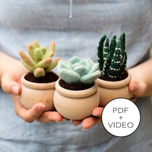 Succulents Needle Felting Tutorial - PDF Pattern - Instant Download - Includes Video Instructions - Beginner Friendly