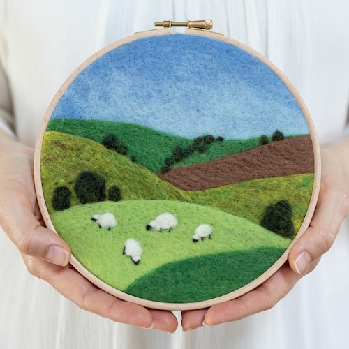 Needle Felting Kit Craft Kit Beginner DIY Kit Etsy