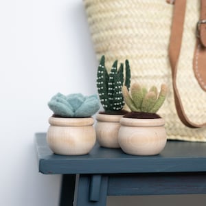 Succulents Needle Felting Kit - beginner friendly - includes video instructions - DIY Craft Gift - potted plants - cacti - cactus