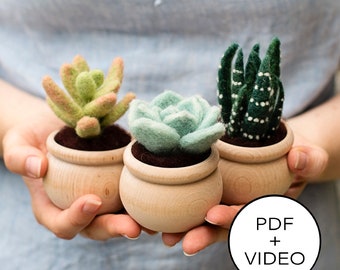 Succulents Needle Felting Tutorial - PDF Pattern - Instant Download - Includes Video Instructions - Beginner Friendly