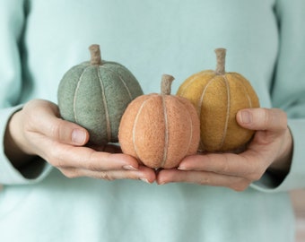 Pumpkins II Needle Felting Kit - Halloween, fall or autumn decoration - DIY craft gift - easy and beginner friendly