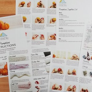 May include: Instructional pages for making felted pumpkins, featuring step-by-step guides and a supplies list. The pages include images of the pumpkin-making process, with text and diagrams. The Felted Sky logo is visible.