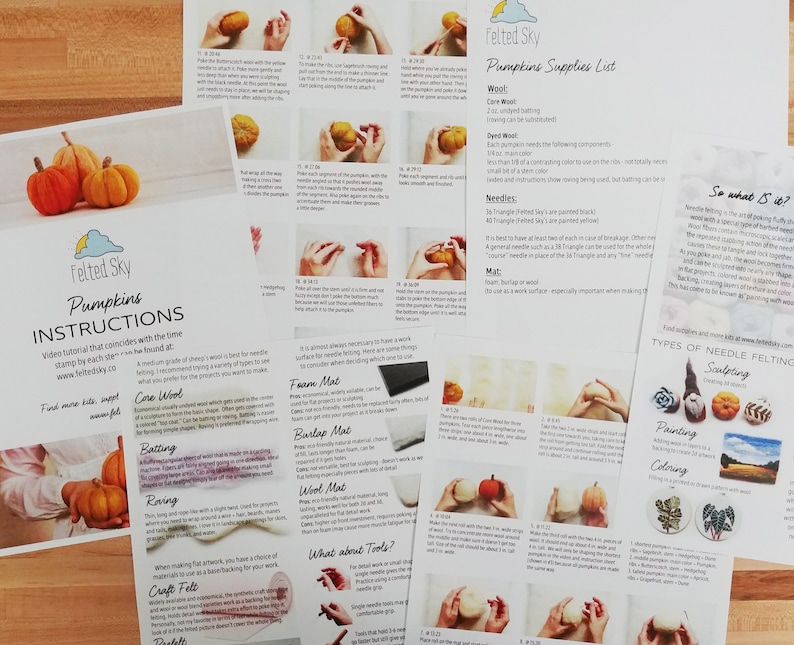 May include: Instructional pages for making felted pumpkins, featuring step-by-step guides and a supplies list. The pages include images of the pumpkin-making process, with text and diagrams. The Felted Sky logo is visible.