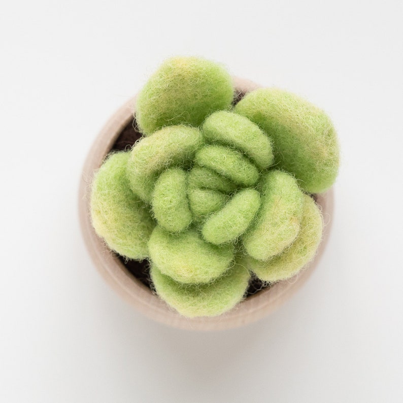 Succulent Mini Needle Felting Kit lily pad Beginner friendly with video instructions DIY Craft Gift image 2