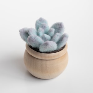 May include: A small, light blue felt succulent plant in a wooden pot. The pot is round and has a natural wood finish.