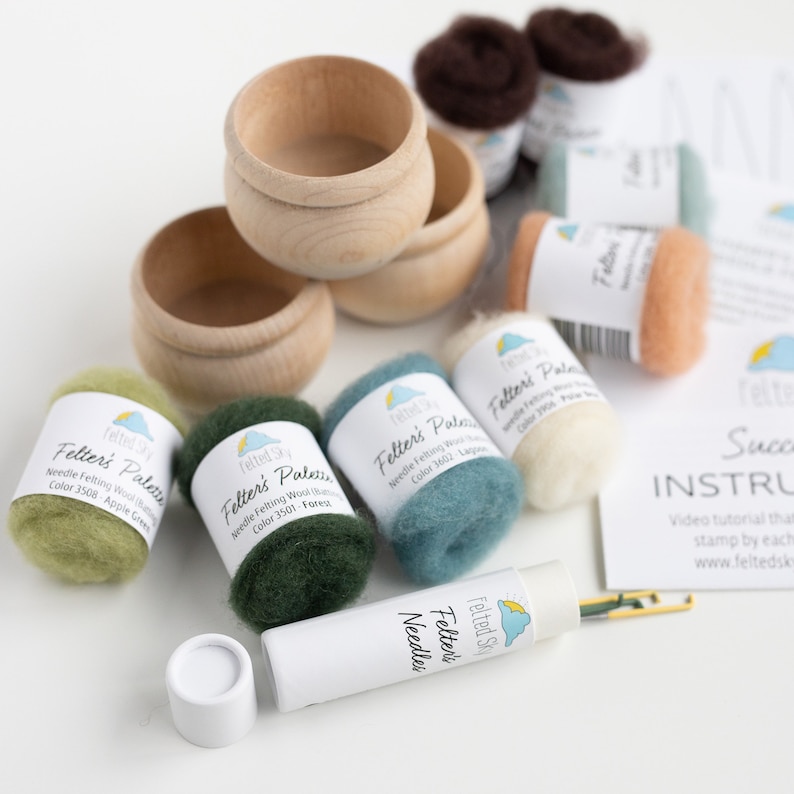 Succulents Needle Felting Kit Beginner Friendly Includes Etsy