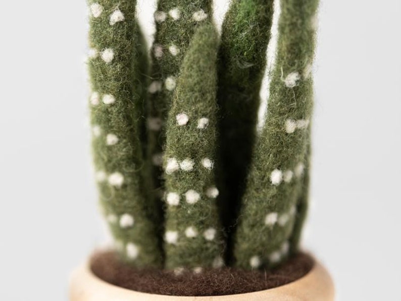 Succulents Needle Felting Tutorial PDF Pattern Instant Etsy