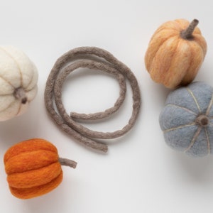 May include: Four felt pumpkins in different colors and sizes. A white pumpkin, an orange pumpkin, a light blue pumpkin, and a yellow pumpkin. A brown yarn is also in the image.