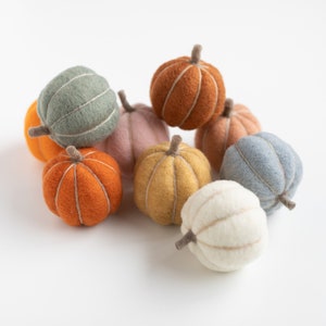 Pumpkin Party Needle Felting Kit - Fall Autumn Halloween DIY Decor - beginner friendly family and friend crafting