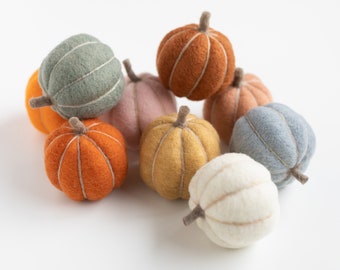 Pumpkin Party Needle Felting Kit - Fall Autumn Halloween DIY Decor - beginner friendly family and friend crafting