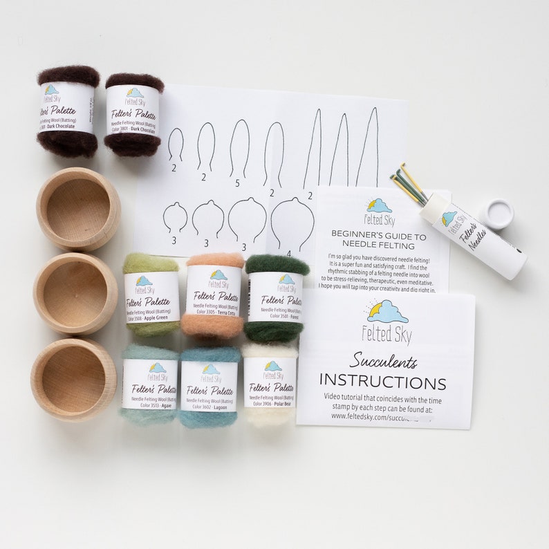 Succulents Needle Felting Kit Beginner Friendly Includes Etsy