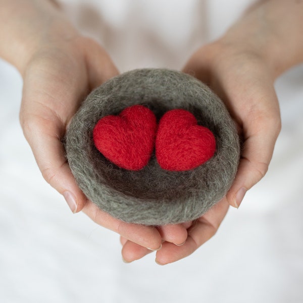 Love Nest Mini Needle Felting Mini Kit - Valentine's Day Craft - Beginner Friendly with video instructions - DIY Gift
