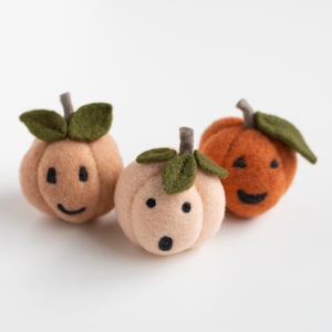 Pumpkin Friends Needle Felting Kit - Halloween Fall Autumn Decoration - beginner friendly - DIY Craft Gift