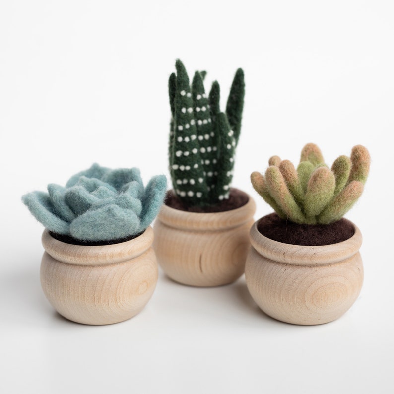 Succulents Needle Felting Kit - beginner friendly - includes video instructions - DIY Craft Gift - potted plants - cacti - cactus image 3