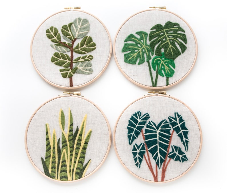 May include: Four embroidery hoops with different plant designs. The hoops are made of wood and have a white fabric background. The plants are embroidered in green, yellow, and brown thread. The designs include a monstera plant, a fiddle leaf fig, a snake plant, and a taro plant.