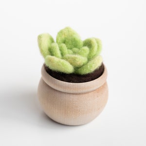 Succulent Mini Needle Felting Kit lily pad Beginner friendly with video instructions DIY Craft Gift image 1