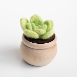 May include: A small, green felt succulent plant in a wooden pot. The pot is light brown and has a smooth finish.