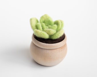 Succulent Mini Needle Felting Kit - lily pad - Beginner friendly with video instructions - DIY Craft Gift