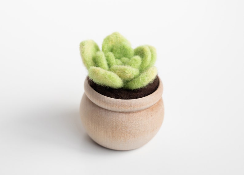 Succulent Mini Needle Felting Kit lily pad Beginner friendly with video instructions DIY Craft Gift image 1
