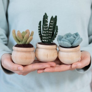 Succulents Needle Felting Kit - beginner friendly - includes video instructions - DIY Craft Gift - potted plants - cacti - cactus image 5