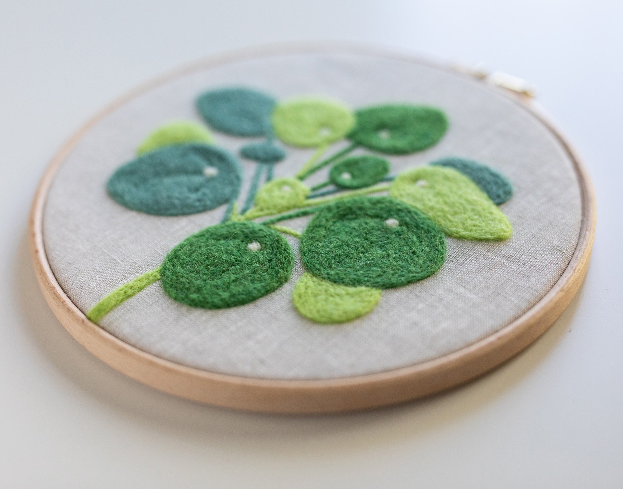 Money Plant Needle Felting Kit beginner friendly Coloring Etsy