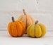 Pumpkins Needle Felting Kit - beginner friendly - includes video instructions - DIY Craft Gift - Halloween Fall Autumn Decoration 