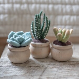 Succulents Needle Felting Kit - beginner friendly - includes video instructions - DIY Craft Gift - potted plants - cacti - cactus image 2