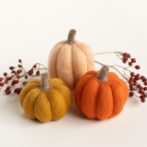 Pumpkin Trio Mini Needle Felting Kit - Halloween Fall Autumn Decoration - beginner friendly with video tutorial - DIY Craft Gift