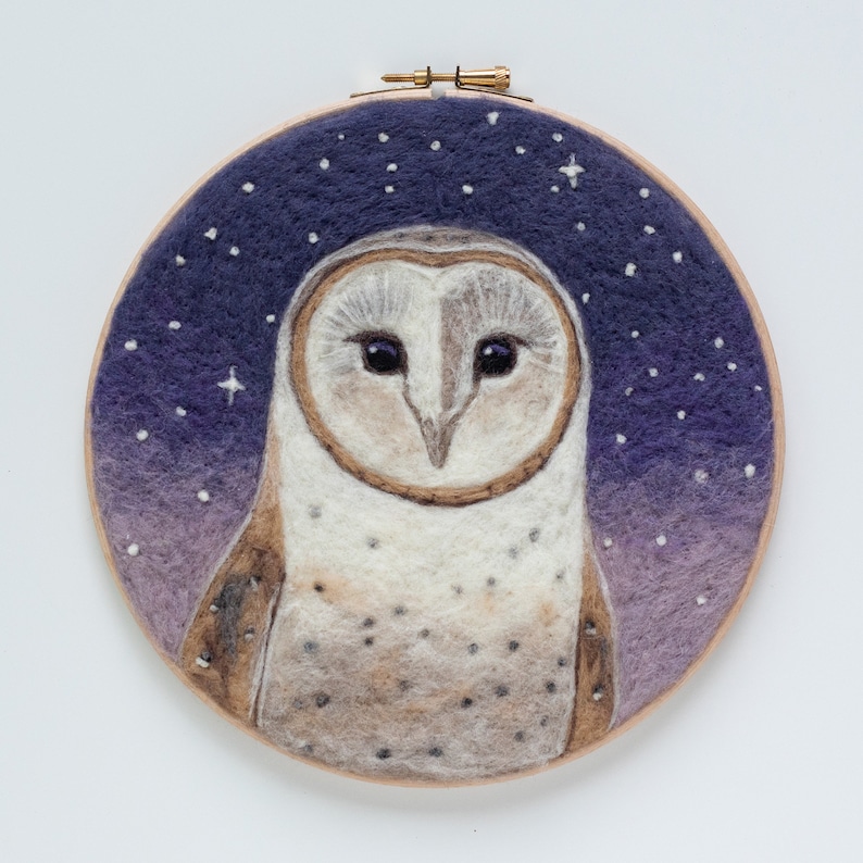 Barn Owl Needle Felting Kit Intermediate Craft Kit Dani Ives' Painting with Wool video instructions image 2