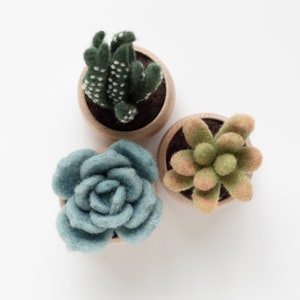 Succulents Needle Felting Kit - beginner friendly - includes video instructions - DIY Craft Gift - potted plants - cacti - cactus image 4