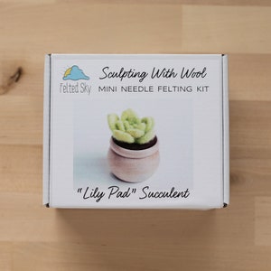 Succulent Mini Needle Felting Kit lily pad Beginner friendly with video instructions DIY Craft Gift image 7