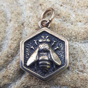 Bronze HONEYBEE in HoneyComb PENDANT Bee Insect  Nature Comb Honey Hexagon Beeswax Original Artisan Jewelry Jewellery from Bohemia