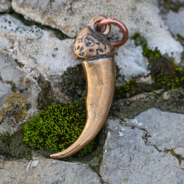 Pendentif griffe de loup en bronze loups en bronze sauvage désert collier breloque Fenrir Vikings Vikings païen défense dent dents sabretooth bête bijoux