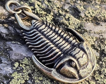 Trilobite Pendant Necklace Charm