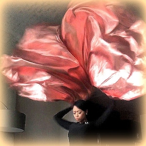 May include: A woman wearing a black shirt is holding a large, flowing, pink fabric over her head. The fabric is draped over her head and shoulders, creating a dramatic effect.