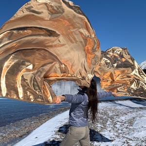 May include: A person holding two large gold metallic fabric flags in front of a snowy mountain and lake background.